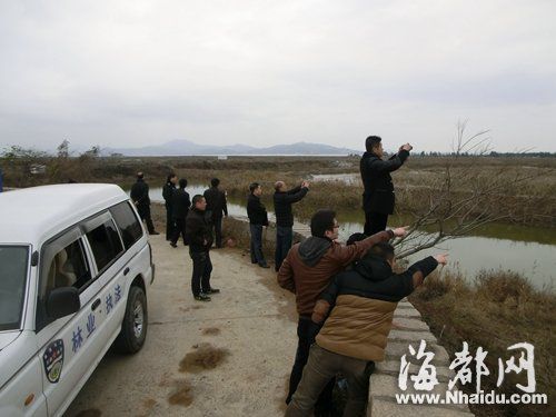 国产精品自在线拍国产：港口集装箱起重机：提升全球贸易效率的关
